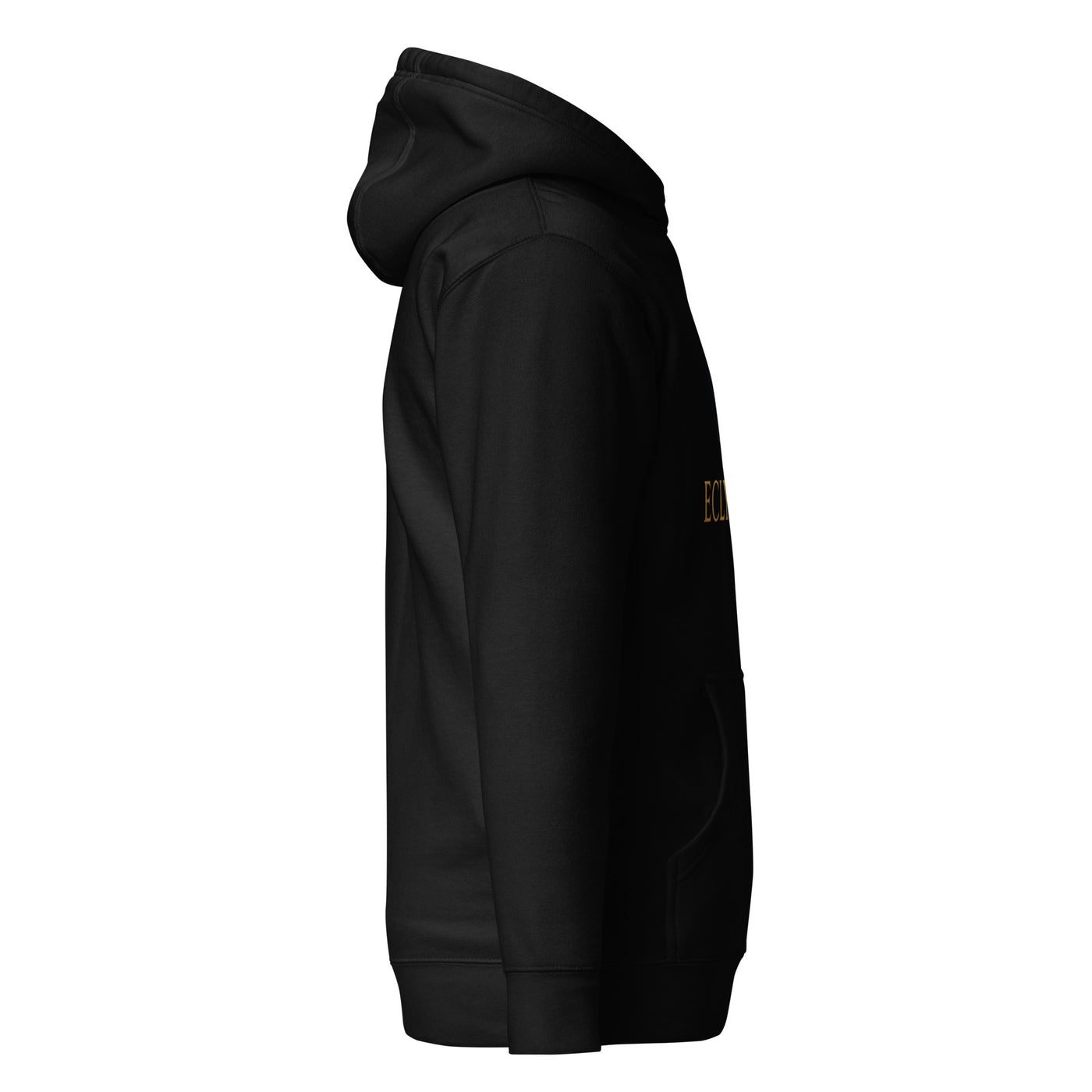 Comfort Colors Adult Hooded Sweatshirt with Graphic Print