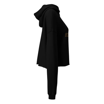 Oversized Crop Hoodie Streetwear Style